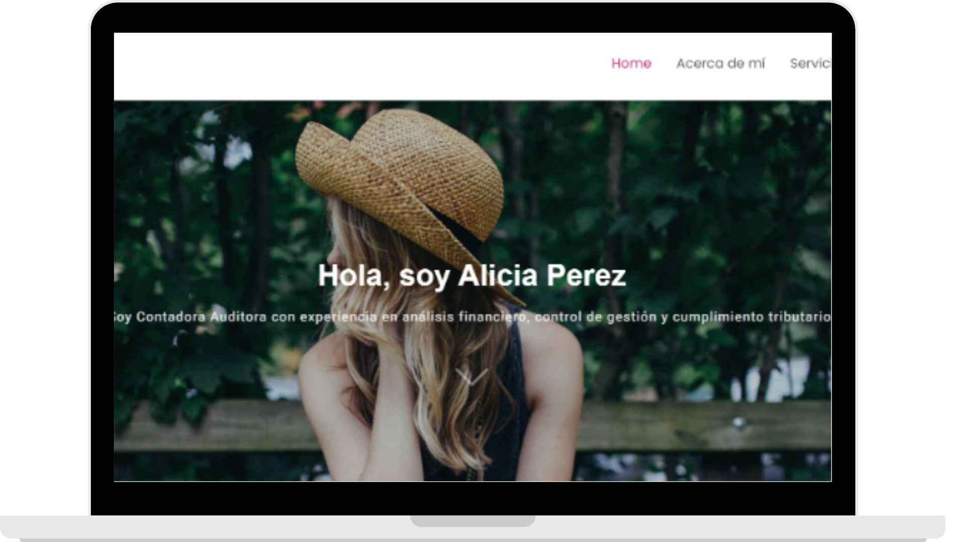 desarrollo web hector oyarzun